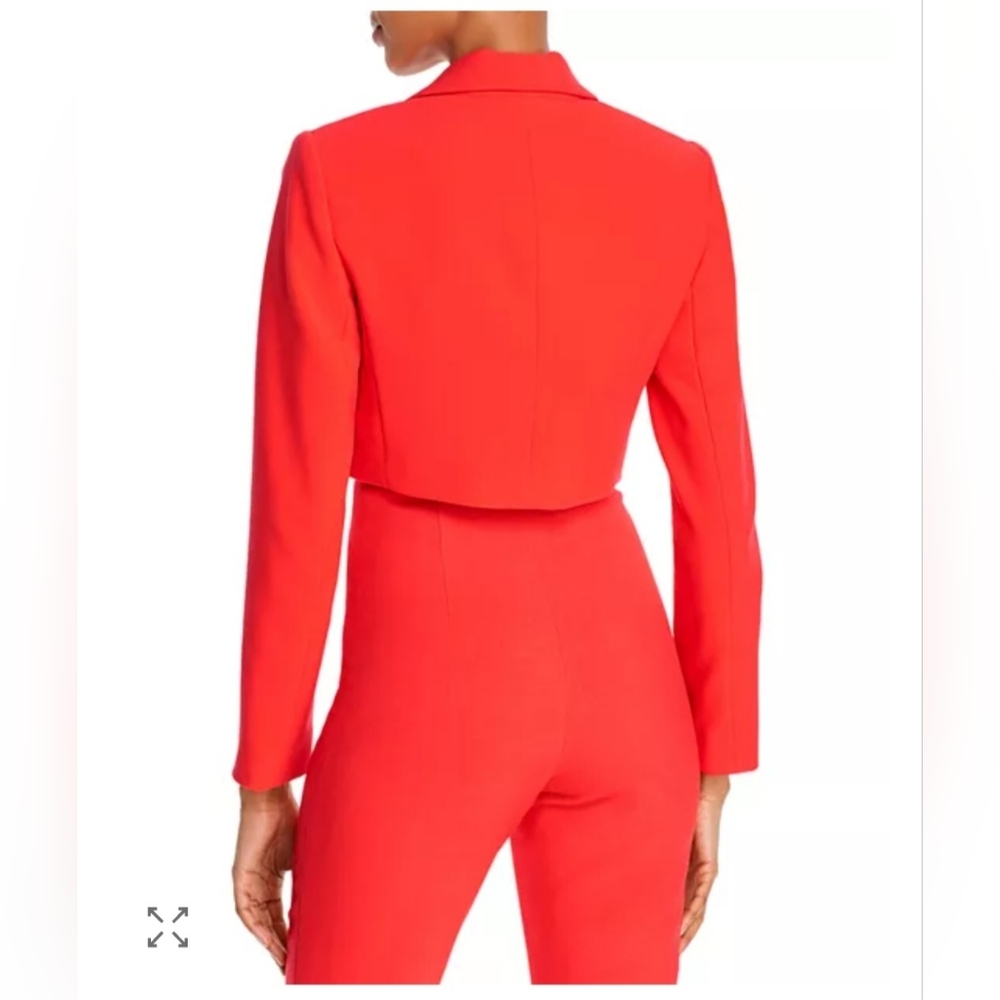 Alice + Oliva Lorinda Slim-Fit High-Waist Cropped Pant Size 4 - Picture 6 of 16